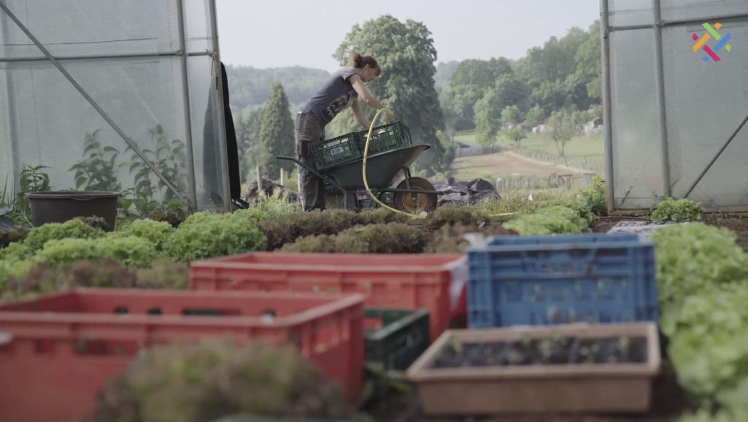 Sabrina Zumbo provides organic vegetables to the Maisons Relais